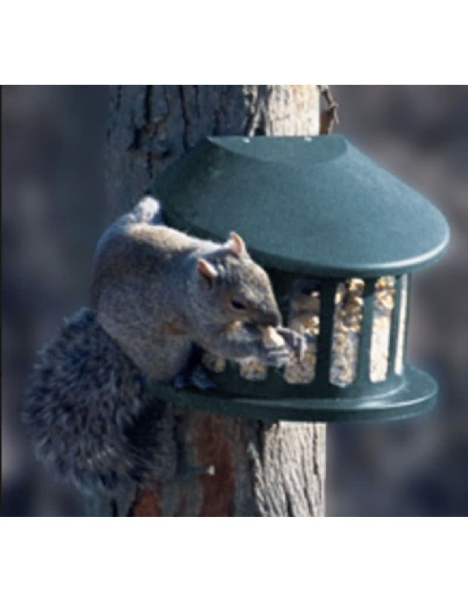 Woodlink PW75590 Metal Squirrel Feeder