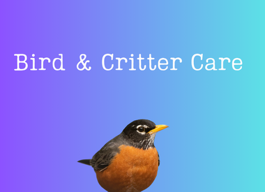 Bird and Critter Care