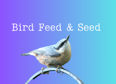 Bird Feed  and Seed