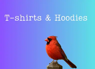 T-shirts and Hoodies
