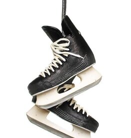 Abbott ABHSKATE Pair of Black Hockey Skates, 2.5"