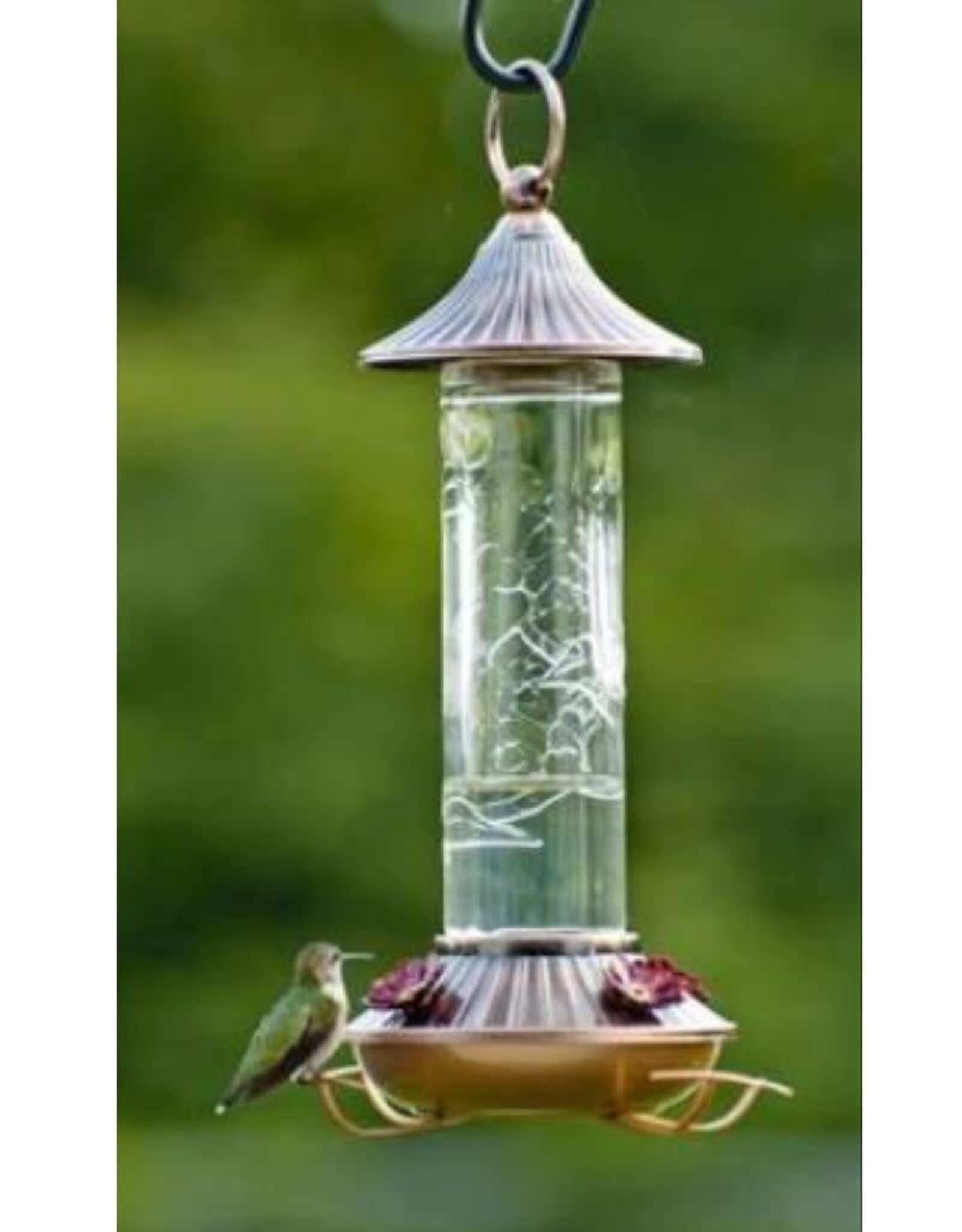 Woodlink WK24908-WL35240 Embossed Glass Hummingbird Feeder