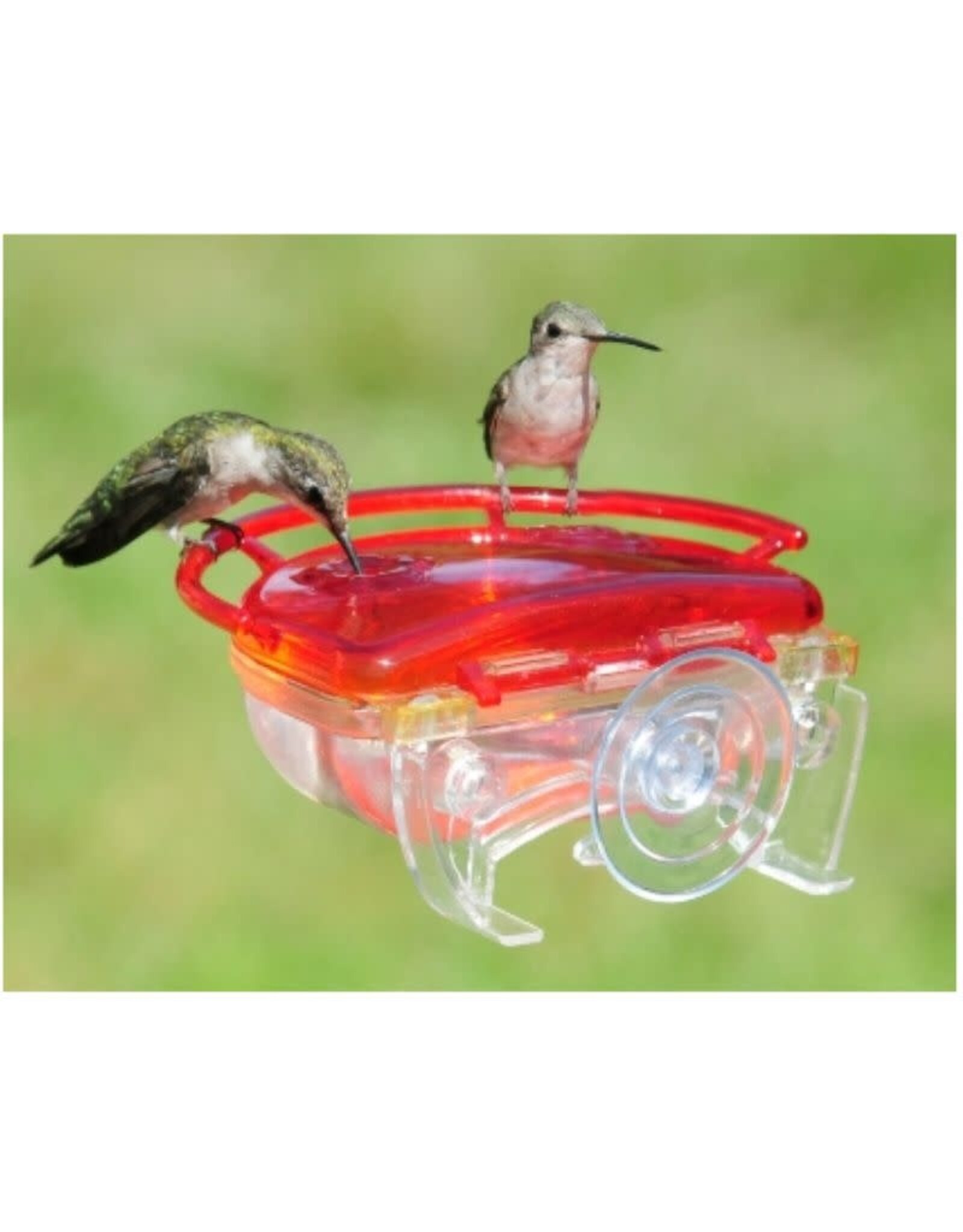 Aspects ASP437 Aspect Gem Window Hummingbird Feeder