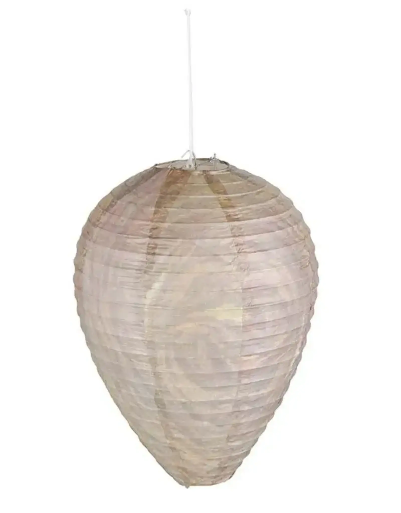 Esshert Design NACHEG17 Wasp Nest Building  Deterrent, Paper
