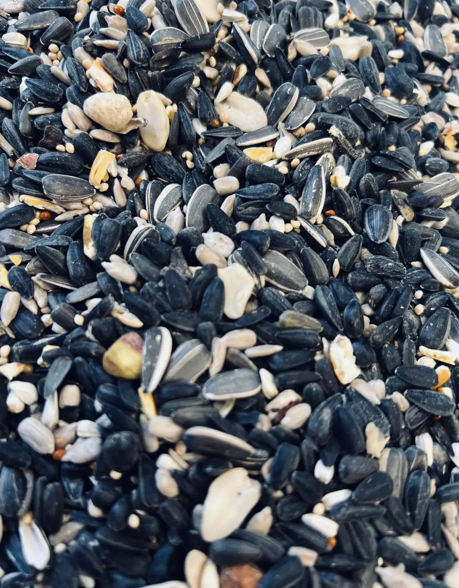 The Birdhouse RIGHT5 5lb Premium Right Stuff Seed Blend