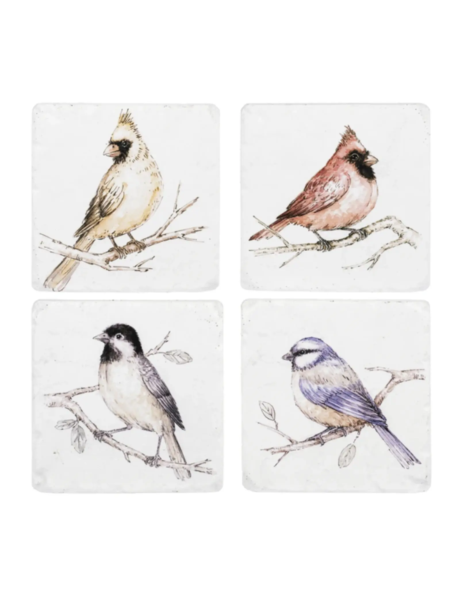 Ganz GZ177811 WATERCOLOUR BIRD COASTERS PACK OF 4