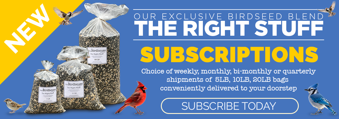 Subscriptions