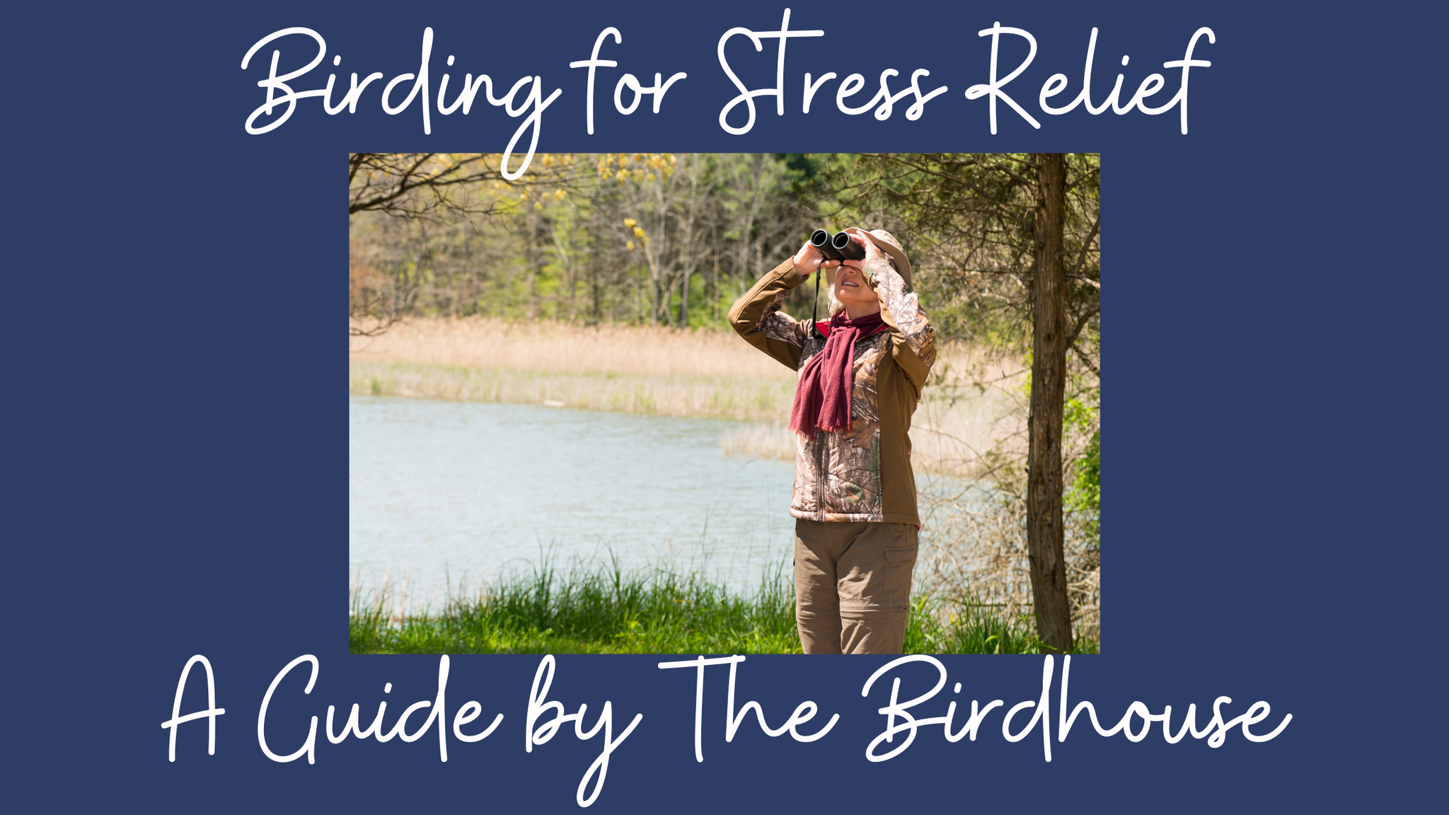 Birding for Stress Relief: A Guide by The Birdhouse Nature Store