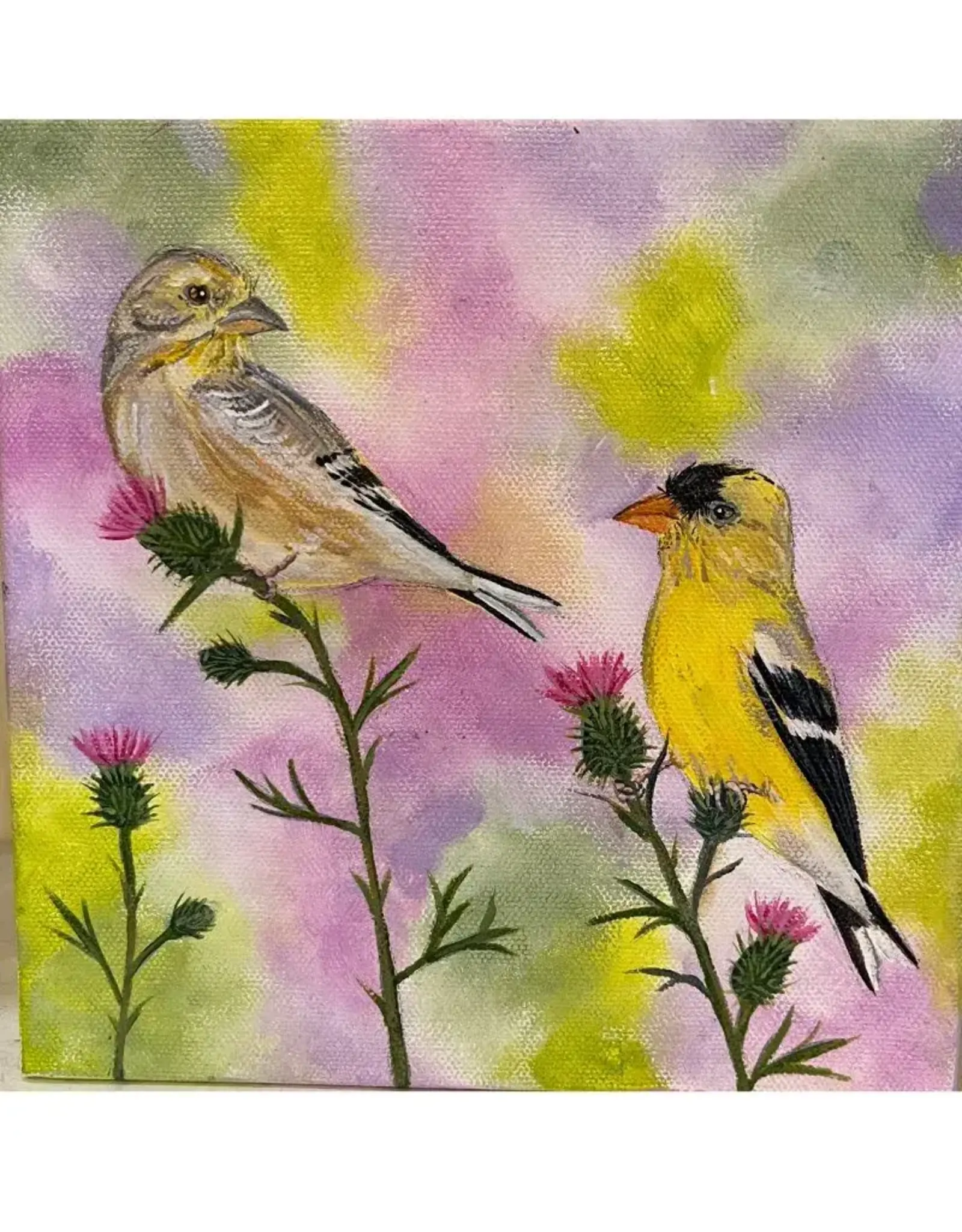 Alicia Galambos (PV Art) AGGOLDIEKURT   Goldie & Kurt, the American Goldfinches, original 8x8 on canvas