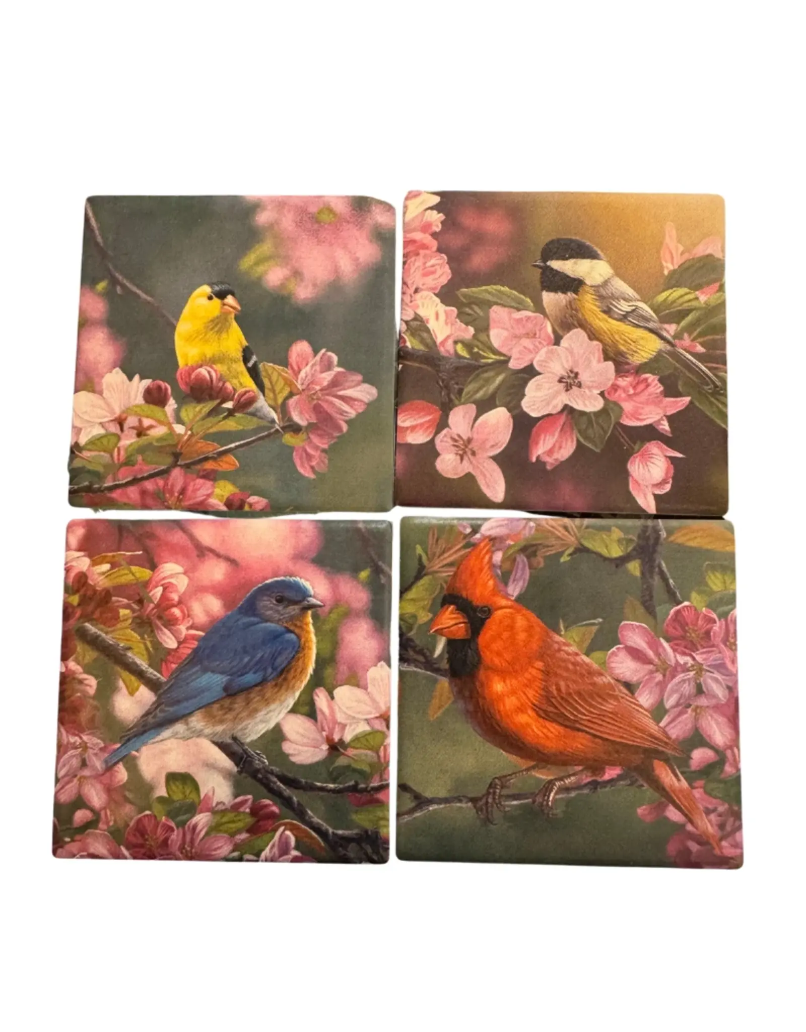 Carson EL72532 Coaster 4" Mixed Bird (4 assort each)