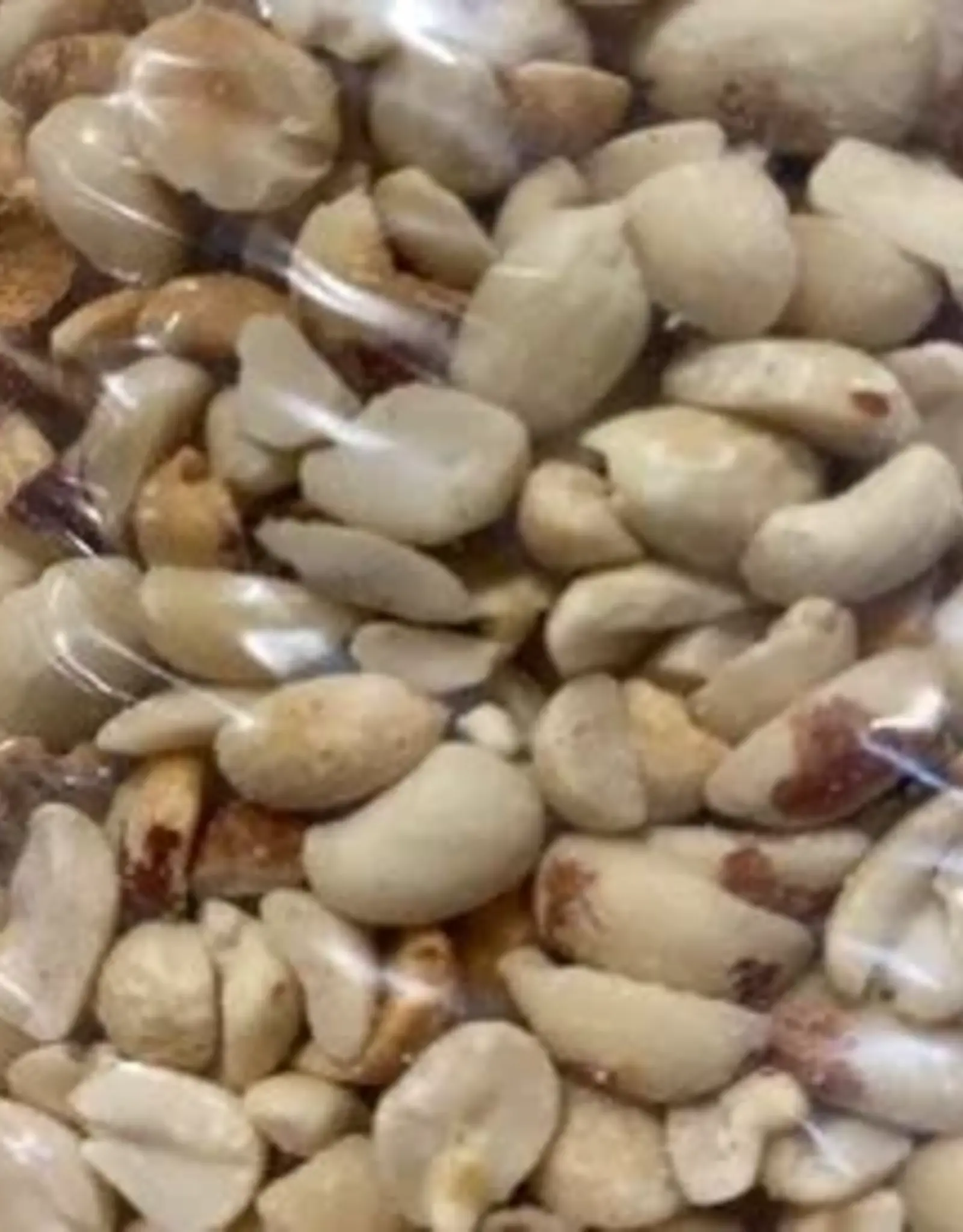Mill Creek/Seed PH10 - 10LBS of Deluxe  Shelled Peanuts w/ nuts NO SALT
