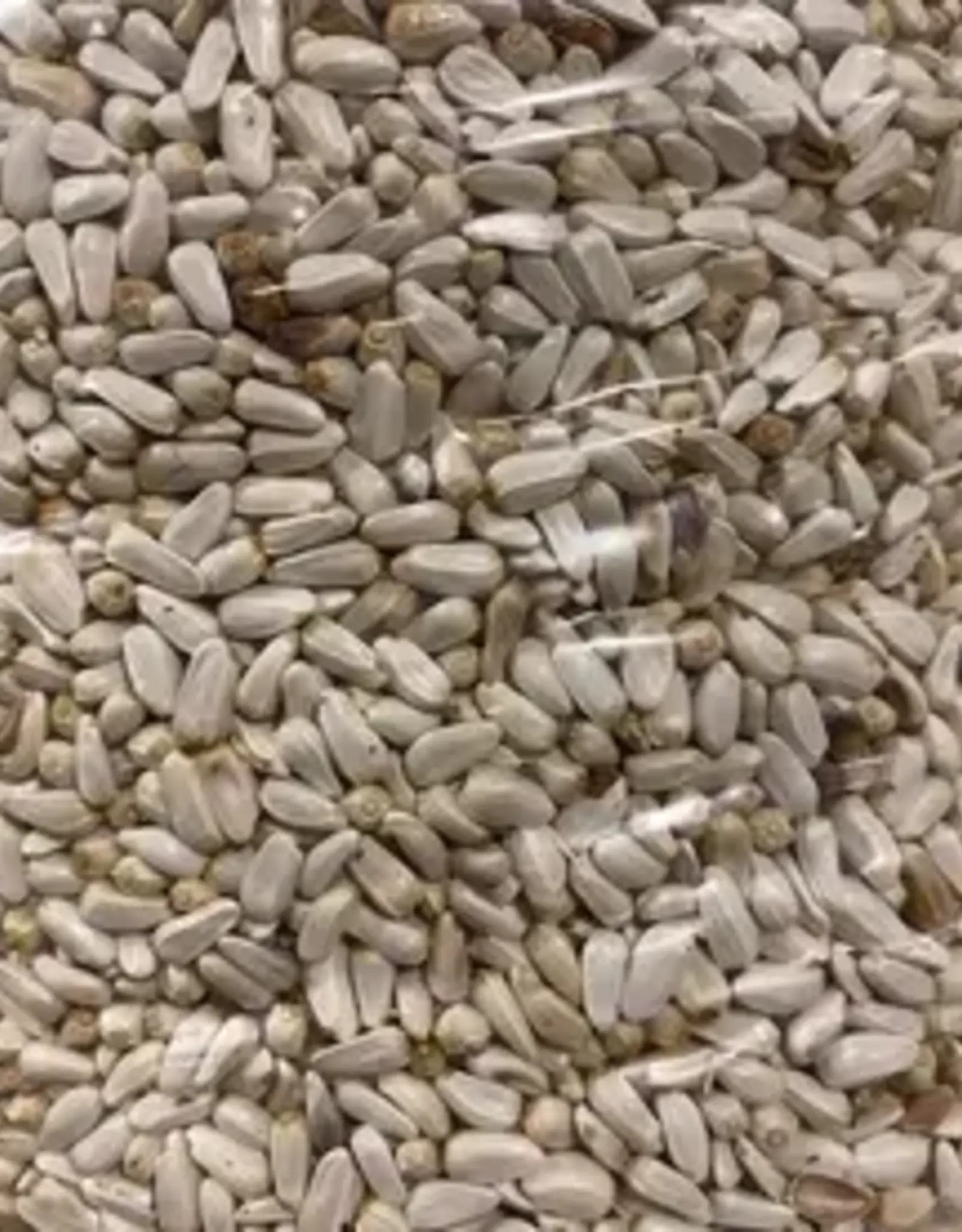 Mill Creek/Seed SAFF10 10lb Safflower