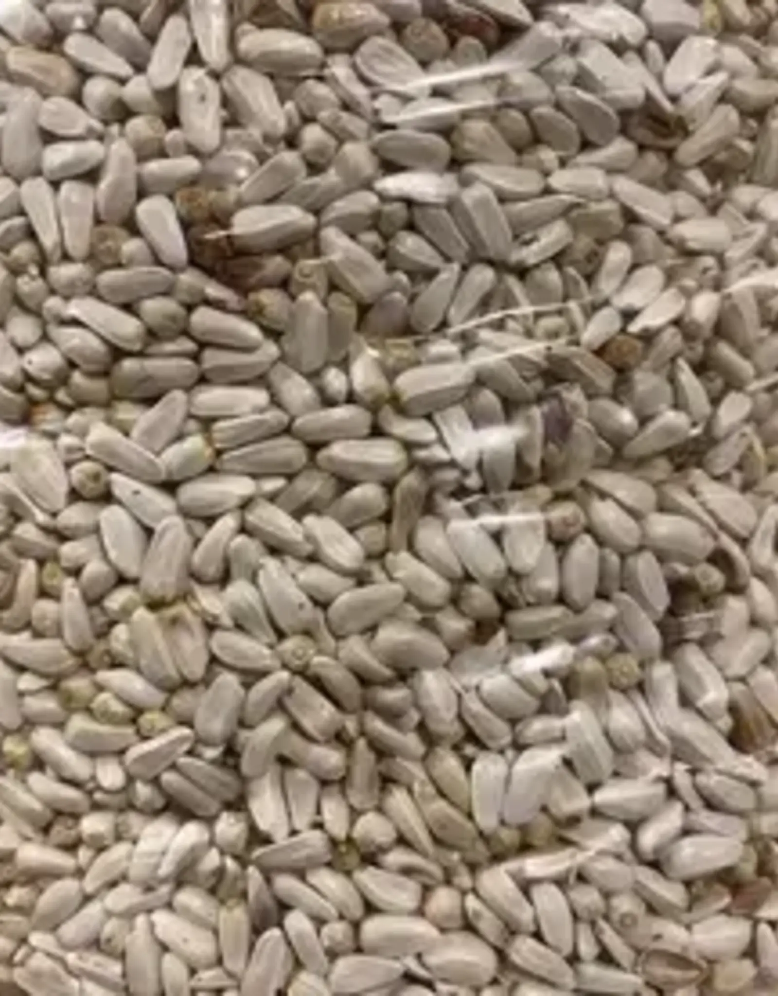 The Birdhouse SAFF5 5LB of Premium Millcreek Safflower