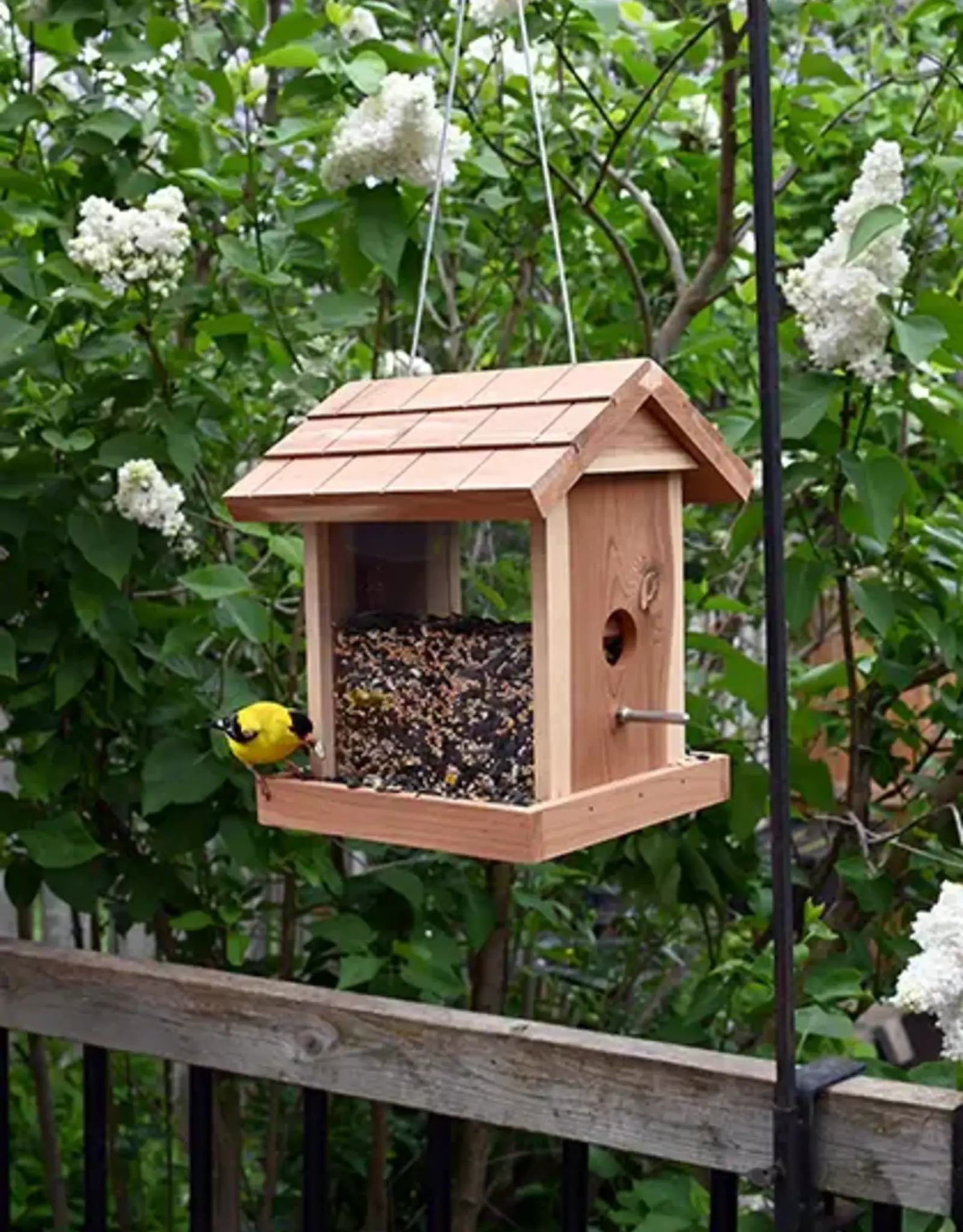 Pinebush PB71016 Cedar Bin Feeder