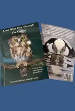 Yvonne Buys (Author) YBLWFTTC Look What Flew Through The County by Yvonne Buys, Terry Sprague and David Bree
