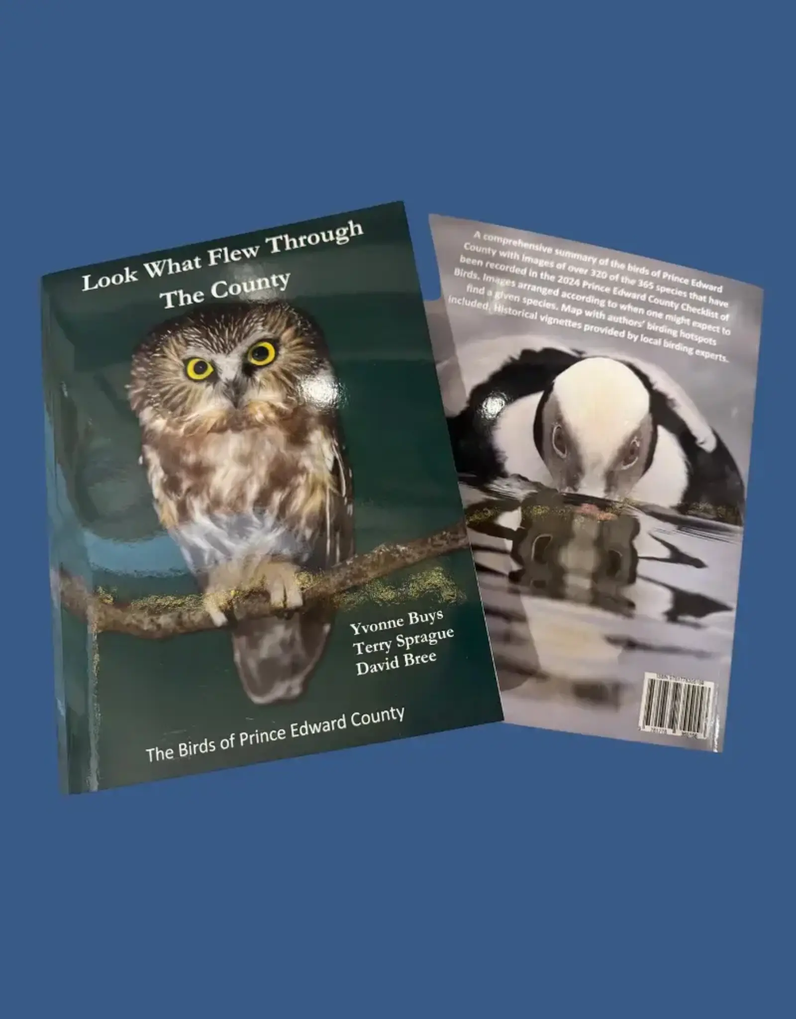 Yvonne Buys (Author) YBLWFTTC Look What Flew Through The County by Yvonne Buys, Terry Sprague and David Bree