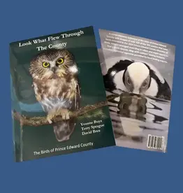 Yvonne Buys (Author) YBLWFTTC Look What Flew Through The County by Yvonne Buys, Terry Sprague and David Bree