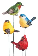 Evergreen For the Birds, Plant Pick, 12 piece CDU, 4 asst