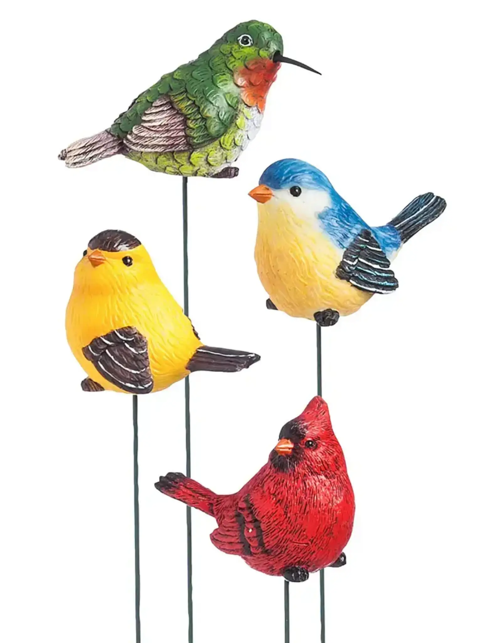 Evergreen For the Birds, Plant Pick, 12 piece CDU, 4 asst