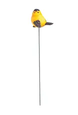 Evergreen For the Birds, Plant Pick, 12 piece CDU, 4 asst