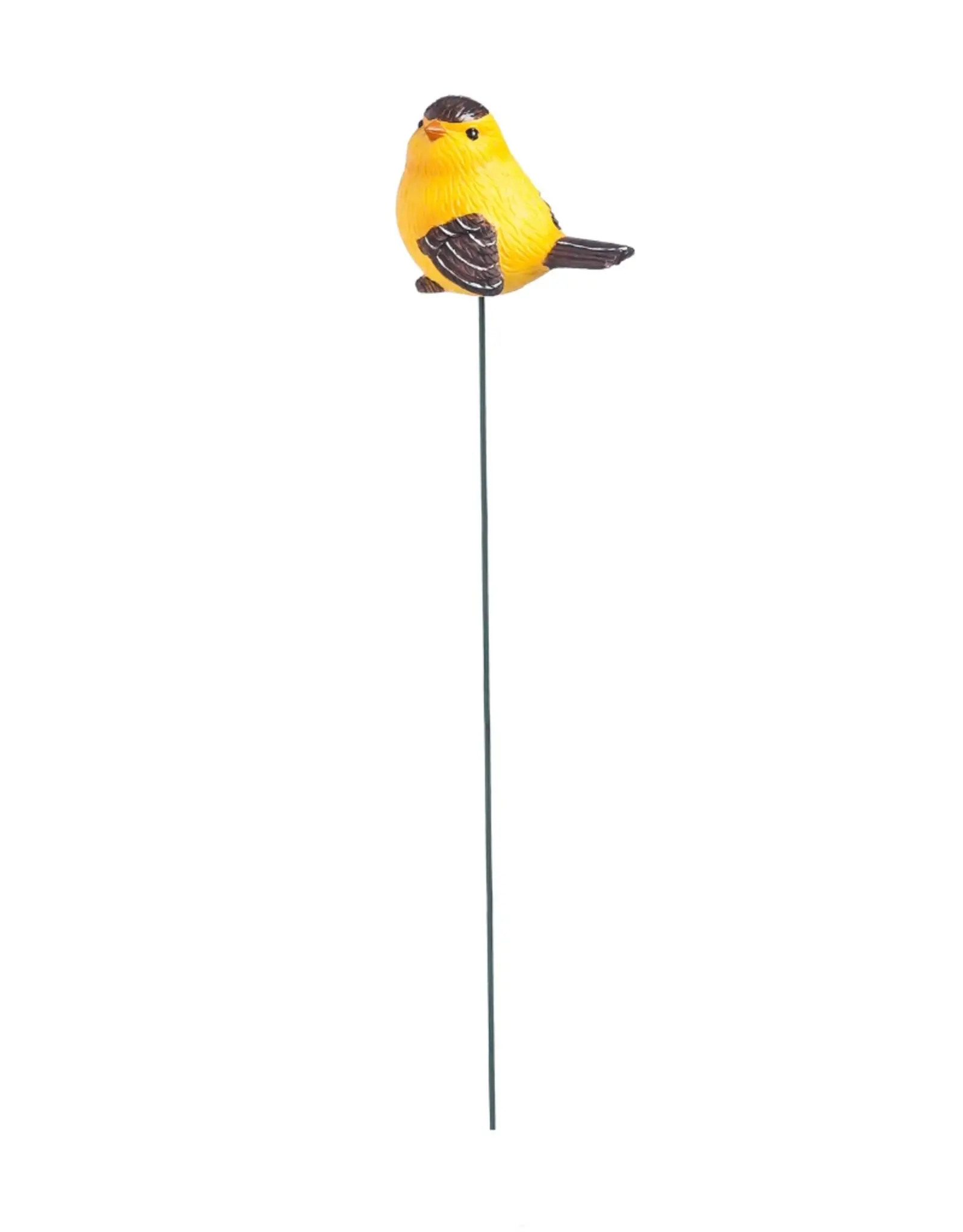Evergreen For the Birds, Plant Pick, 12 piece CDU, 4 asst