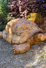 Castart Studio Giant Galapagos Tortoise - Ancient Stone