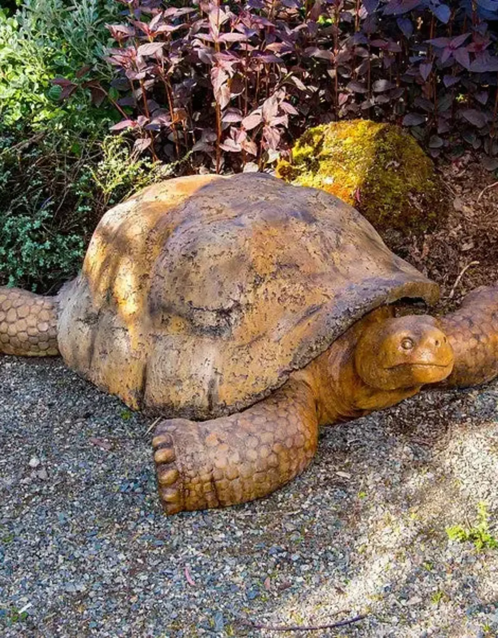 Castart Studio Giant Galapagos Tortoise - Ancient Stone