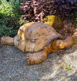 Castart Studio Giant Galapagos Turtle - Ancient Stone