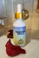 Ananda Elixers Shroom Soda