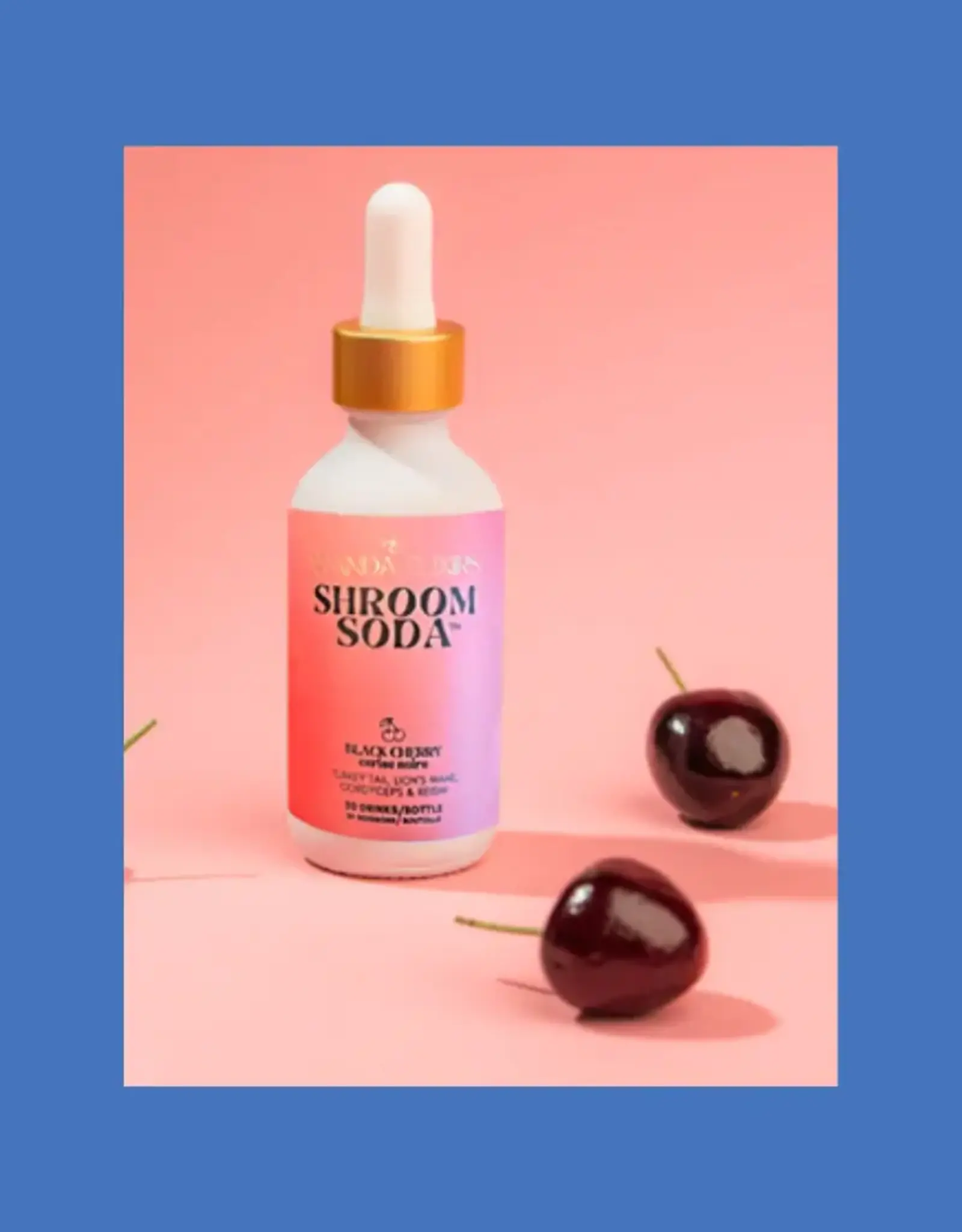 Ananda Elixers Shroom Soda