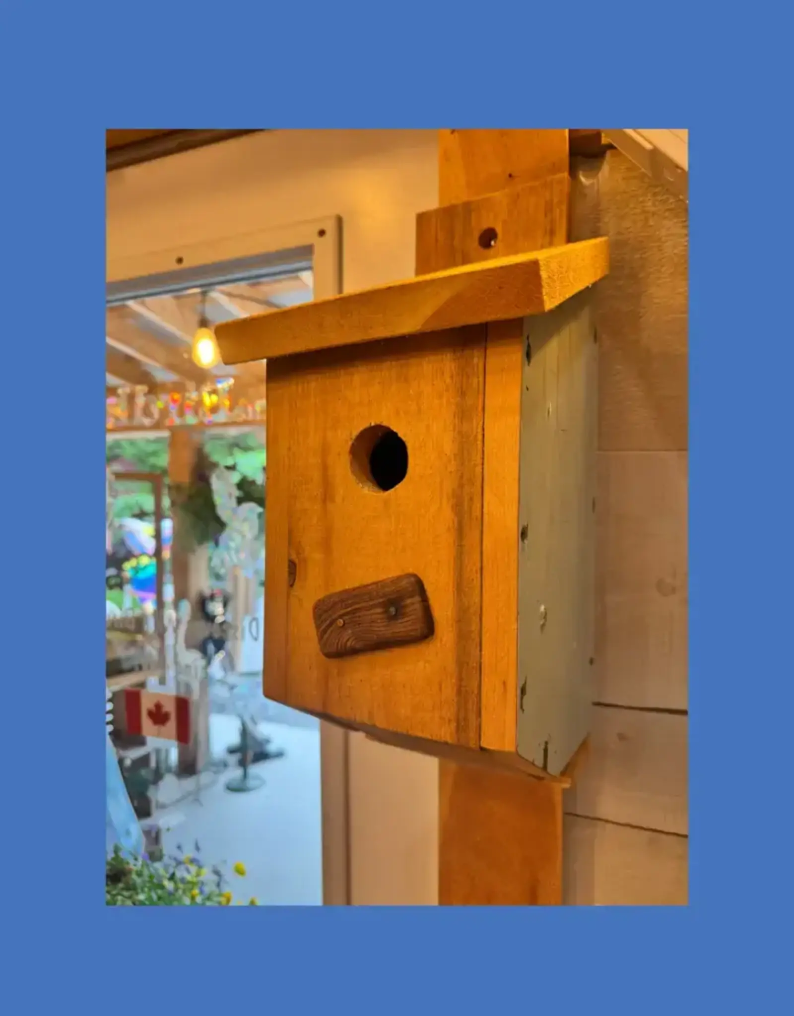 Artist Jean Long JL1295 Blue and Pine Bird House 1 1/2" port (universal).