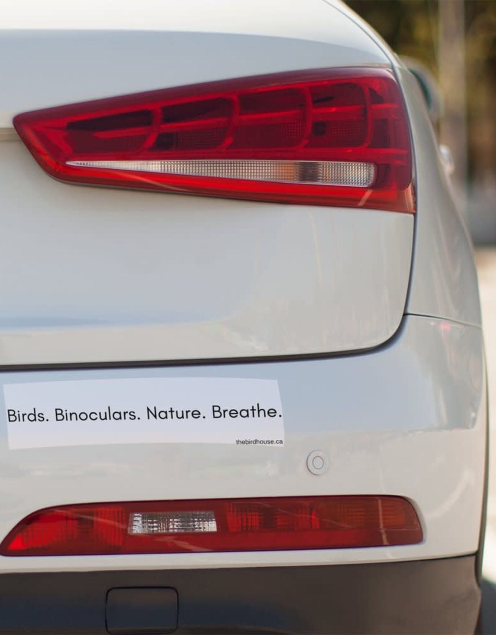 The Birdhouse Birdhouse Bumper Stickers