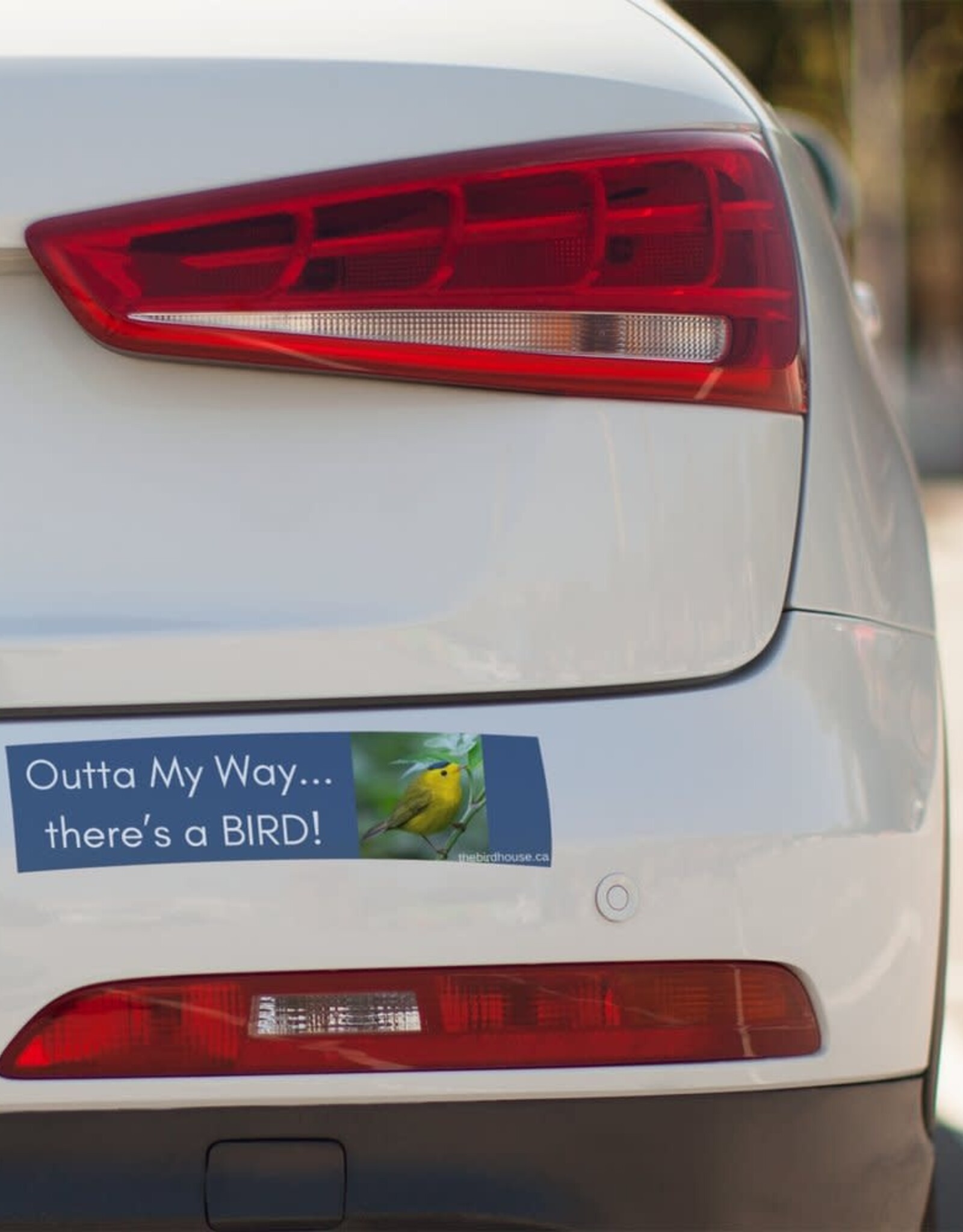 The Birdhouse Birdhouse Bumper Stickers