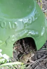 NACH NACHWA07 Toad House