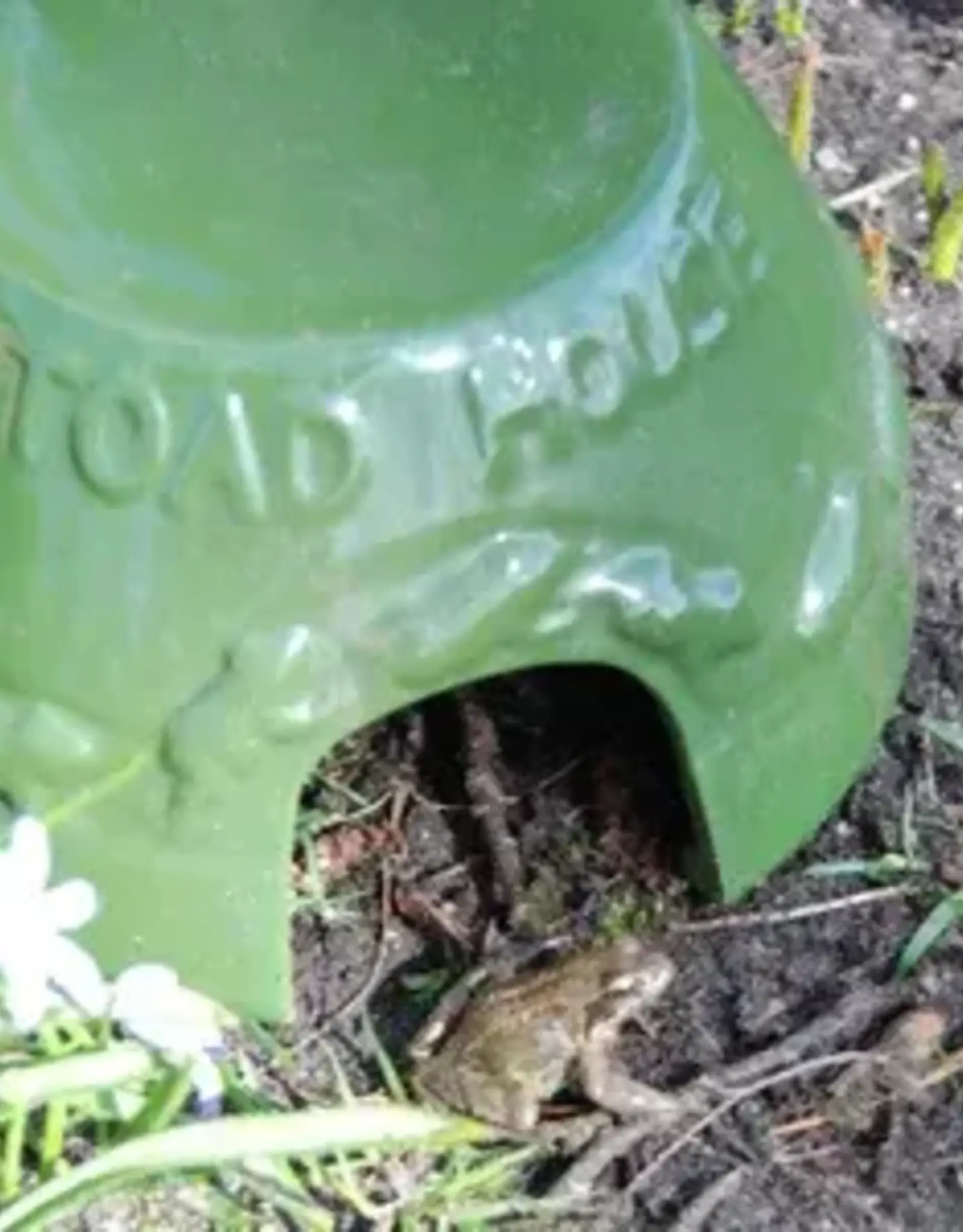 NACH NACHWA07 Toad House