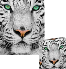 Enjoy Puzzle White Siberian Tiger | 1000 Piece