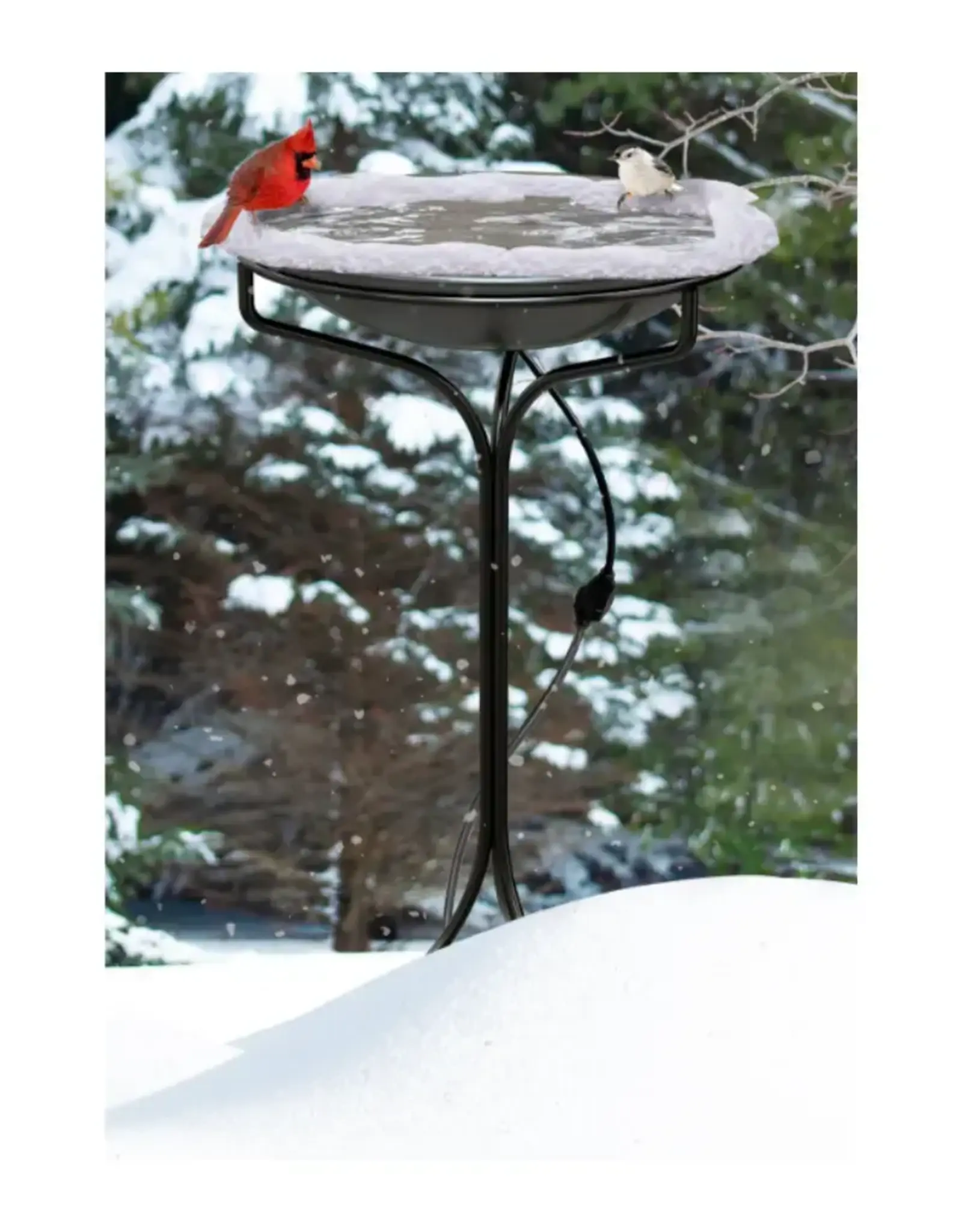 Heated Bird Bath with Stand