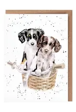 Wrendale Designs Paws and Pedals Single Card
