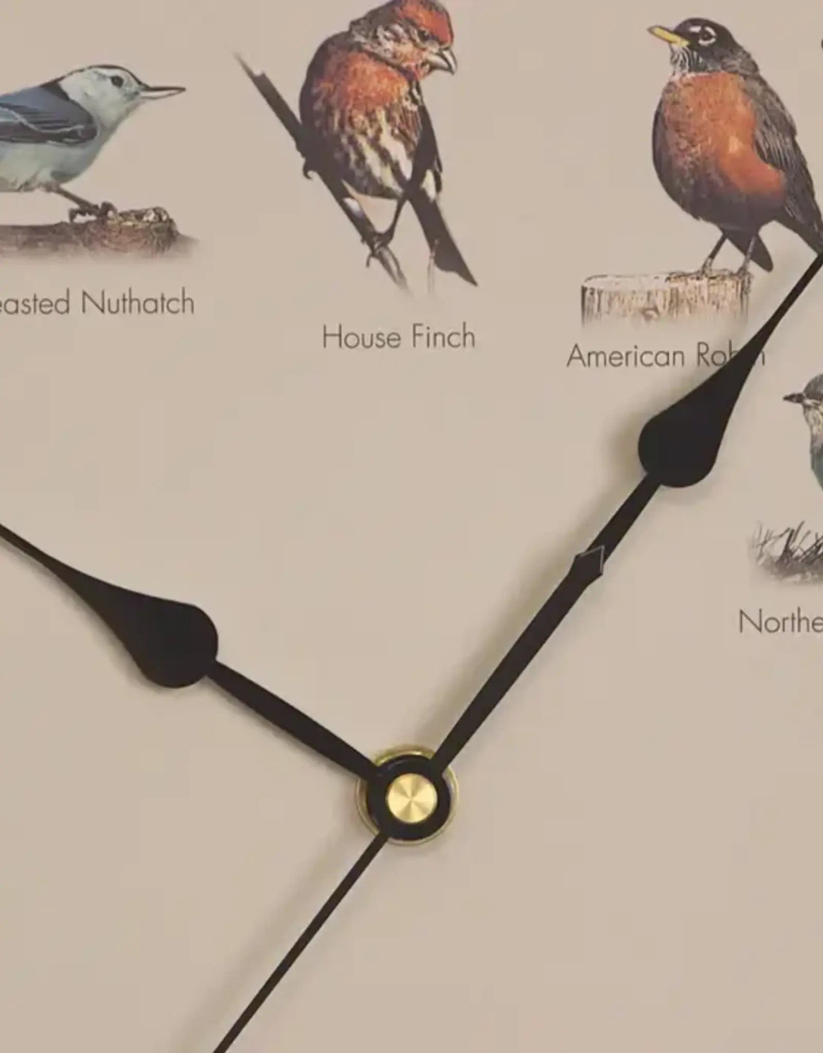 Audubon MFAAUD13 25th Anniversary Audobon Society Original Singing Bird Clock, 13", Cherry