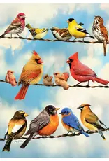Cobble Hill Puzzles Birds on a Wire  | 500 Piece