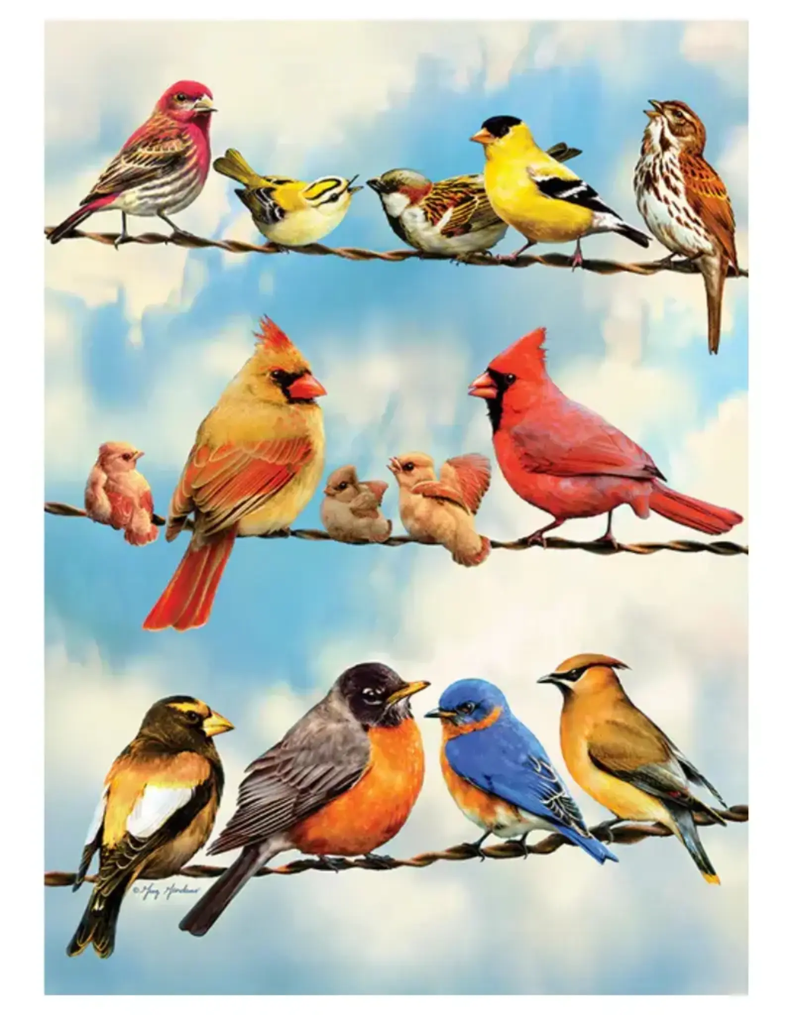 Cobble Hill Puzzles Birds on a Wire  | 500 Piece
