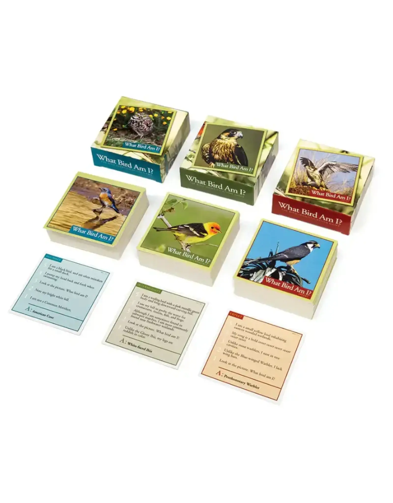 Outset OM10225 What Bird Am I? The Bird Identification Game