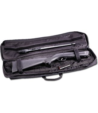 Savage Savage 64 Takedown Semi-Auto Rimfire Rifle, Takedown synthetic stock, blued, 16.5" barrel, with soft case, .22lr