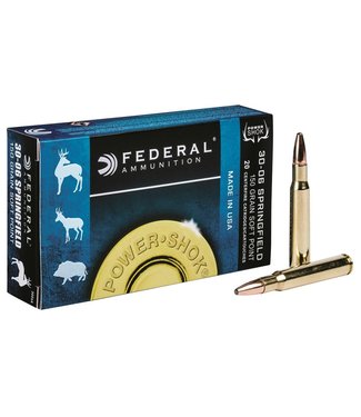 Federal Federal Power-Shok Rifle Ammo, .30-06 Springfield, Box of 20 Rounds