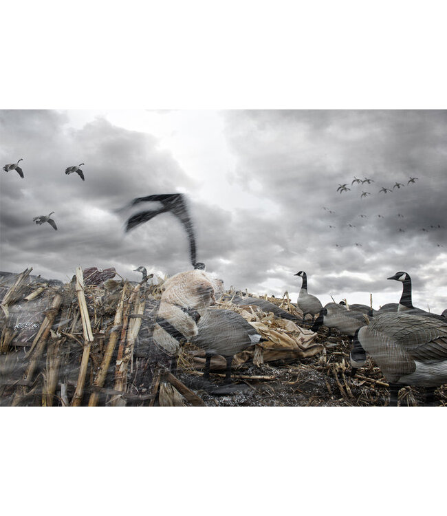 Rig'Em Right Hypnotizer Goose Flag - Solid Black (per each)