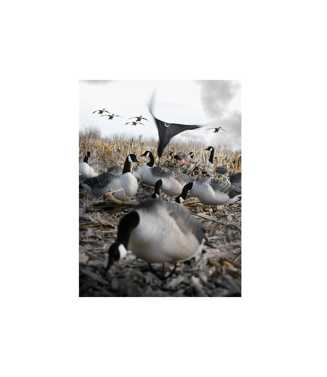 Rig'Em Right Hypnotizer Goose Flag - Solid Black (per each)