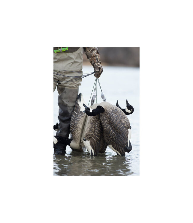 Rig'Em Right 54in Xtreme TX Rigs 6oz weights (per doz)