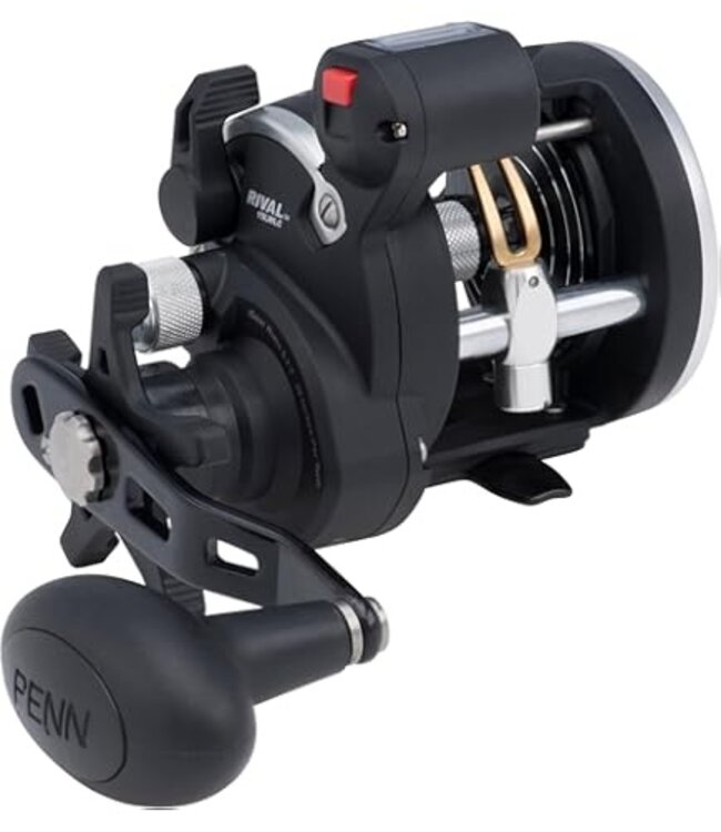 Penn Rival Line Counter Reels