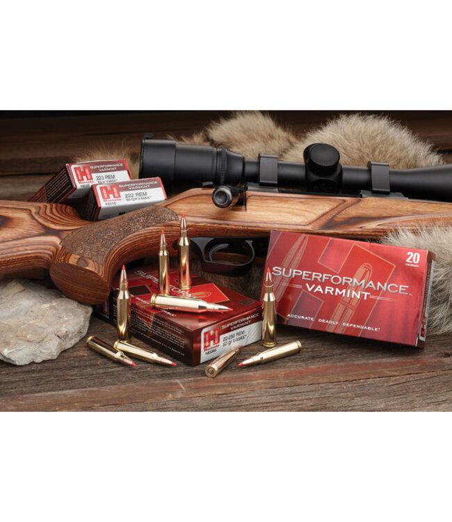 Hornady Superformance Varmint .243 WIN 58Gr. V-Max 20rds