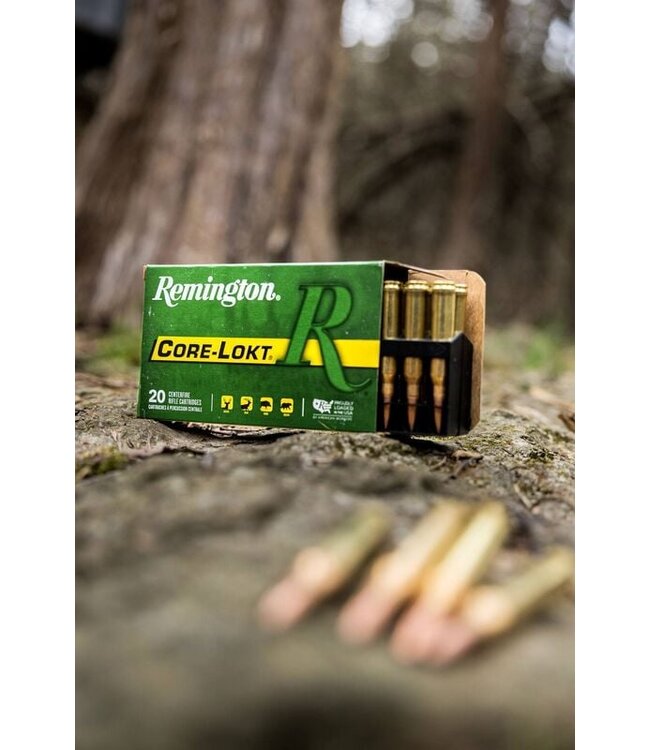 Remington .338 WIN 225Gr PTD SP